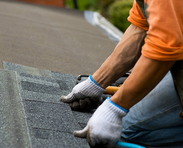 Best Roof Gutter Cleaning  in East Dublin, GA